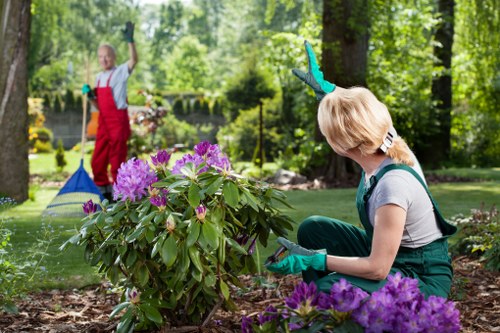 Investigator reviewing work records and site photographs for gardening complaint
