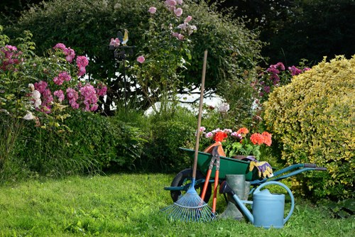 Garden clearance in a suburban backyard showing mixed green waste
