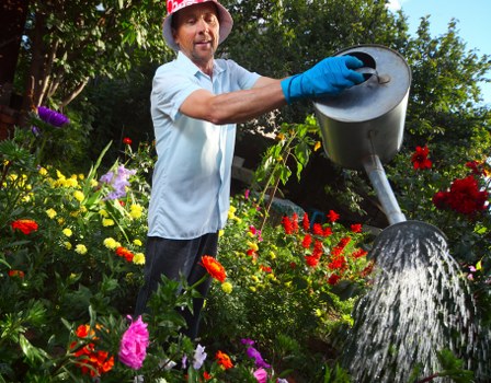 Sustainable gardening practices in Sanderstead