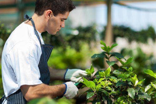 Choosing the right landscaping company in Sanderstead