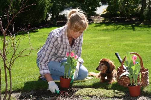 Professional landscaper working on a garden design in Sanderstead
