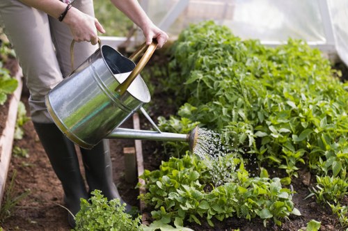 Gardening tools arranged neatly beside an accessible garden entrance