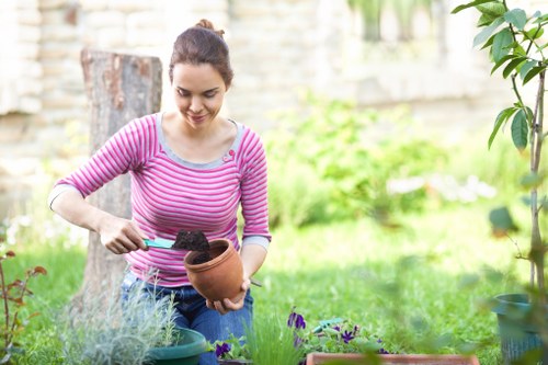 Seasonal garden maintenance in Sanderstead